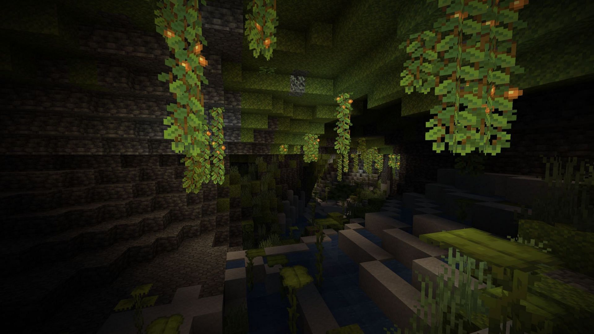 Lush caves have moss blocks (Image via Minecraft Wiki)