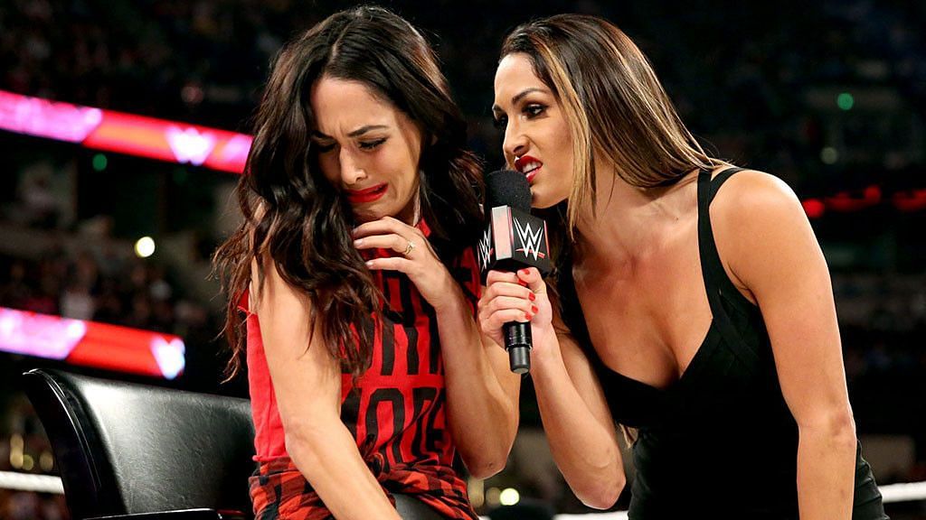Nikki and Brie Bella engage in a very tacky war of words