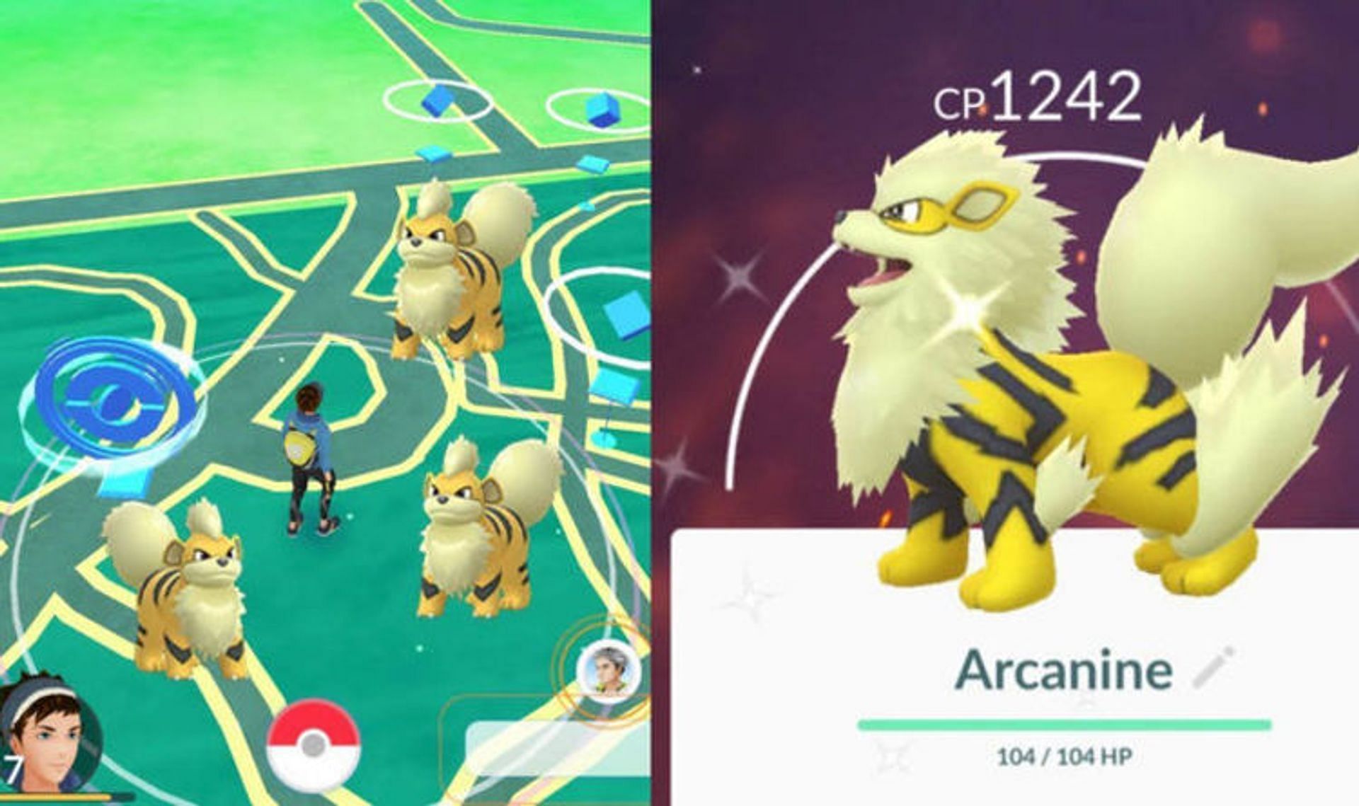 Shiny Growlithe and Arcanine as they appear in Pokemon GO (Image via Niantic/Daily Express)