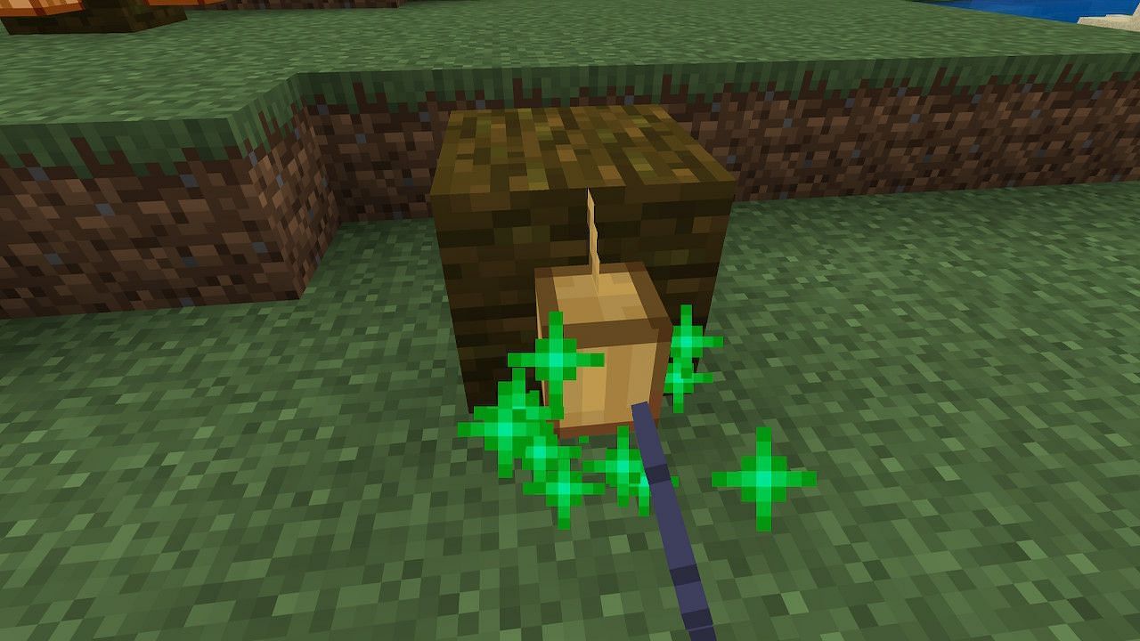 Players can give the cocoa pods bonemeal in order to advance them one stage towards maturity (Image via Minecraft)