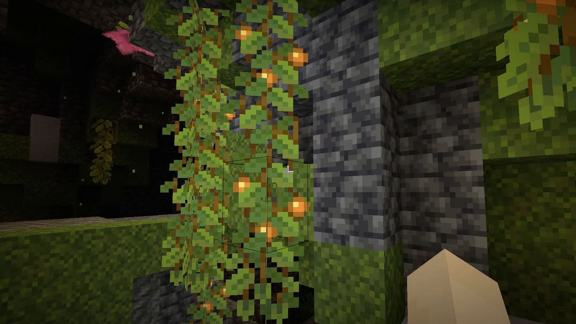 Players are able to find glow berries by going into the lush caves biome (Image via JayDeeMC/YouTube)