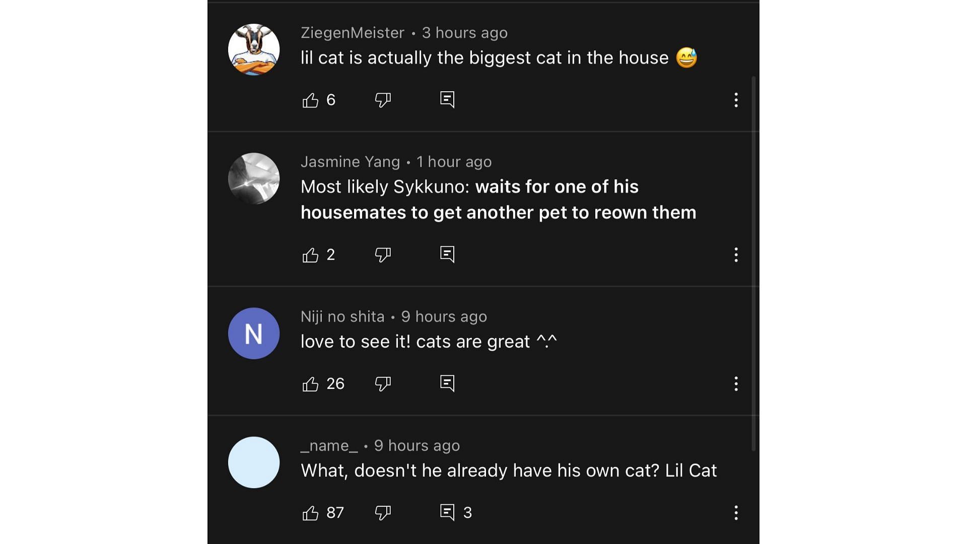 Comments made by viewers who saw the clip later on YouTube (Image via Shrimpkkuno/YouTube)