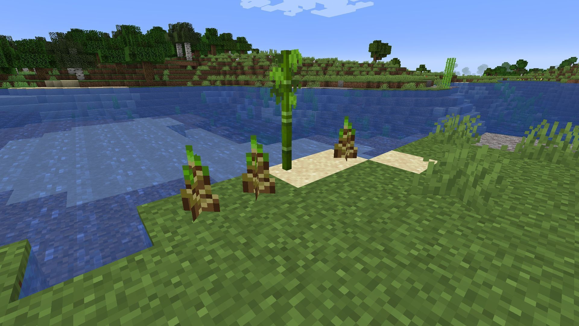 Bamboo shoots (Image via Minecraft)