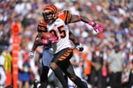 Cincinnati Bengals v Baltimore Ravens