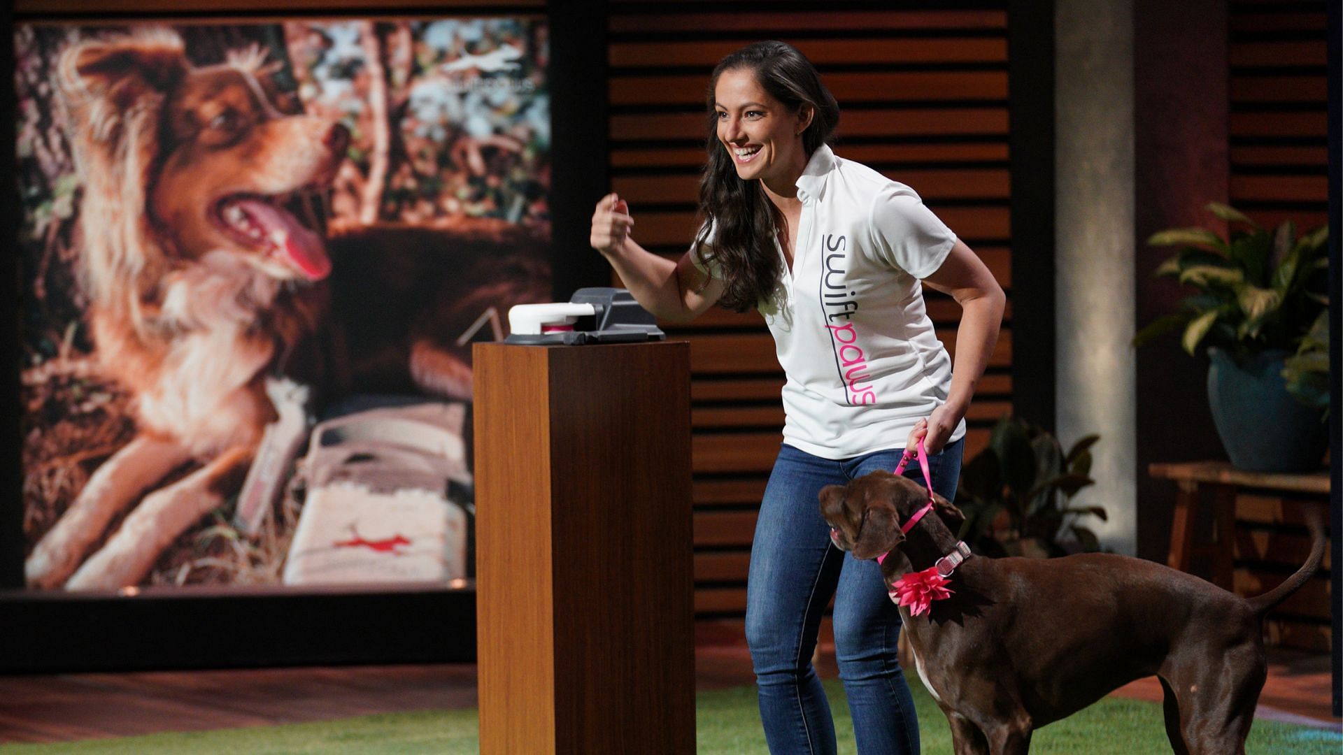 SwiftPaws founder Meghan Wolfgram appears on Shark Tank (Image via Christopher Willard/ABC)