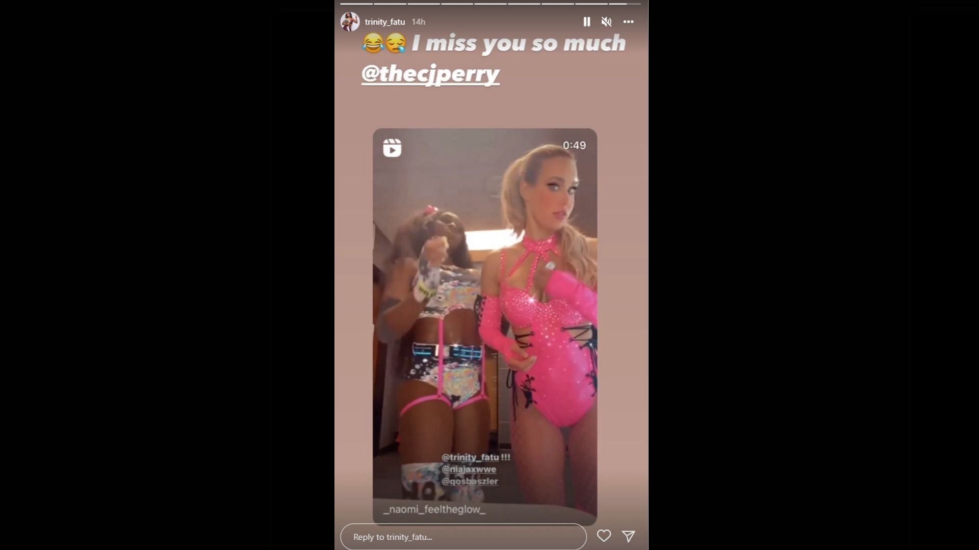 A screenshot of the Instagram story