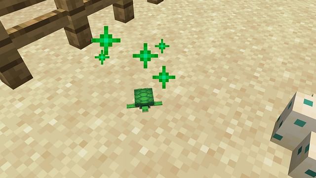 How to get turtle shells in Minecraft 1.18?