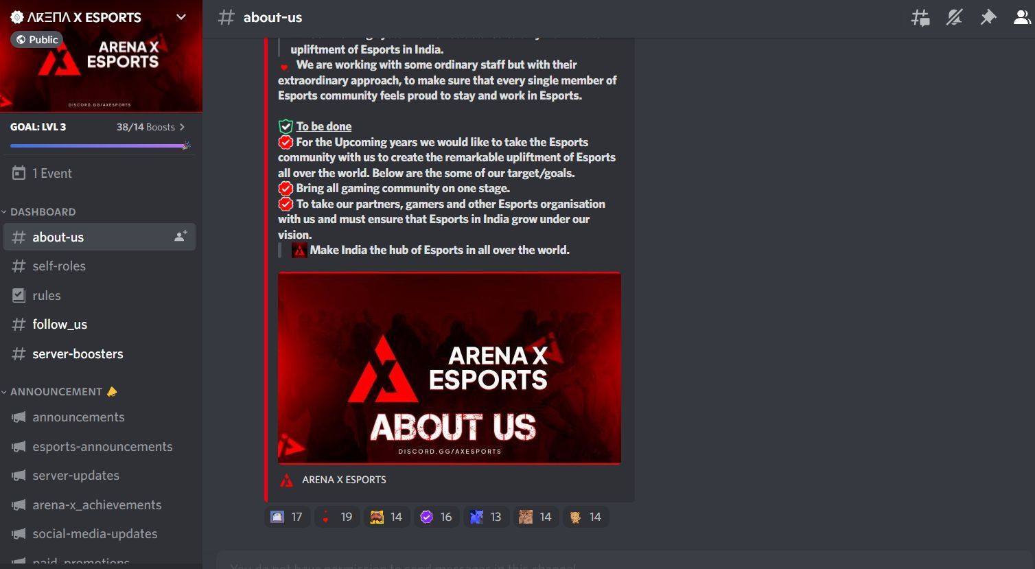 Arena X Esports&#039; server (Image via Discord)