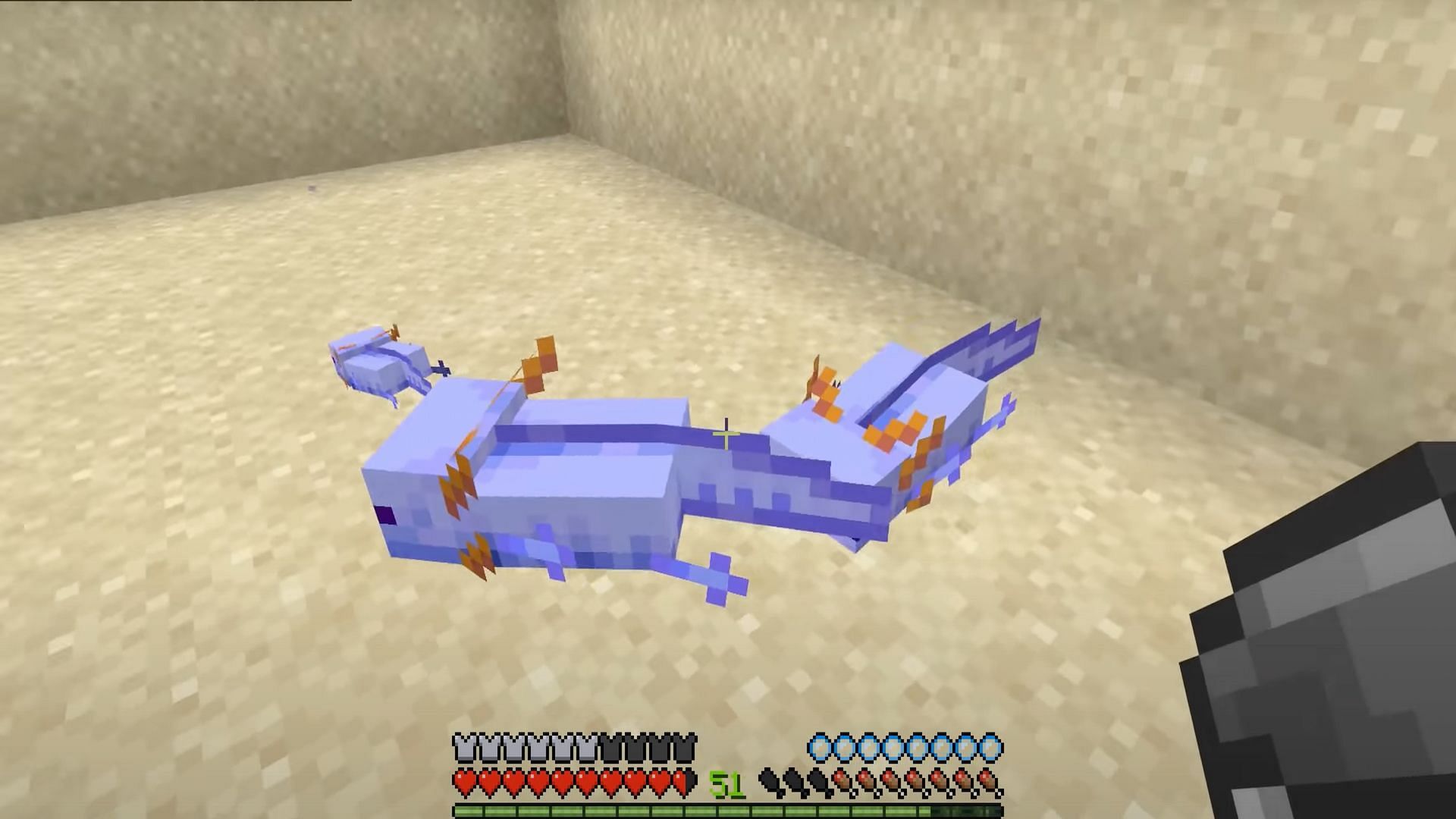 Players of Minecraft may encounter some very unique mobs (Image via TendedTadpole2/YouTube)