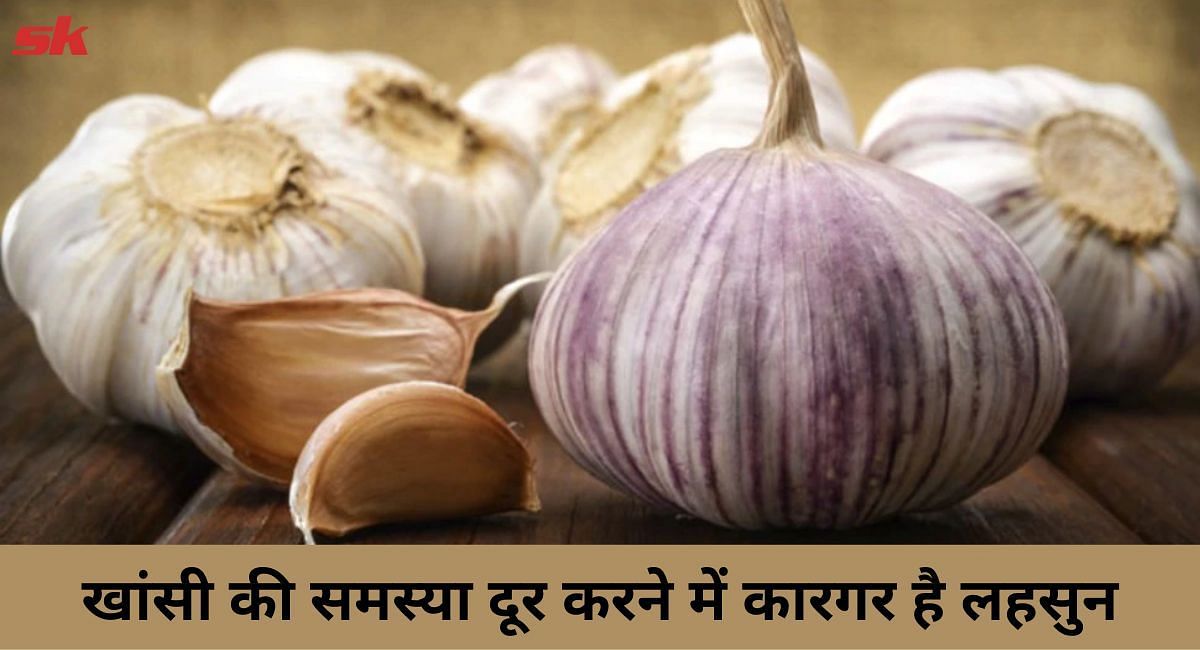 खांसी की समस्या दूर करने में कारगर है लहसुन
