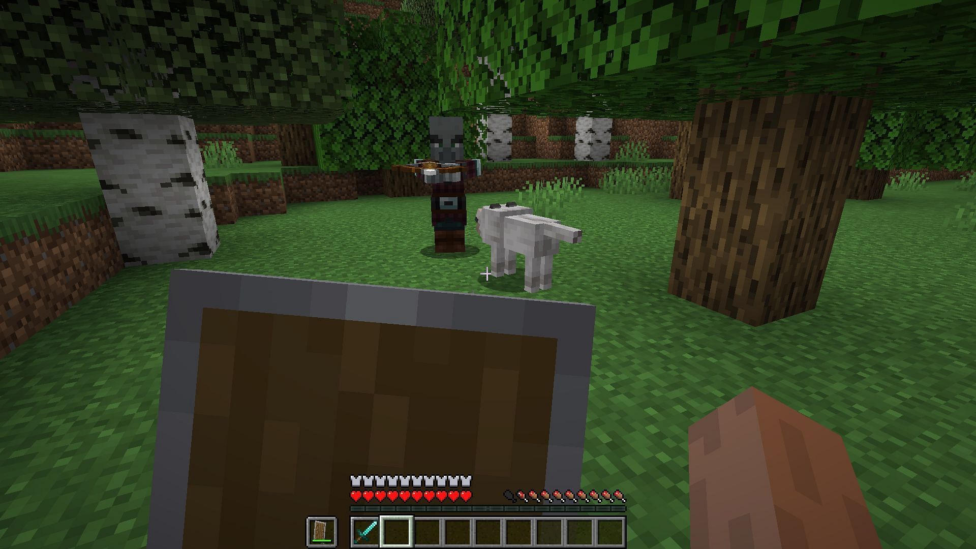 A player&#039;s wolf attacking an illager (Image via Minecraft)