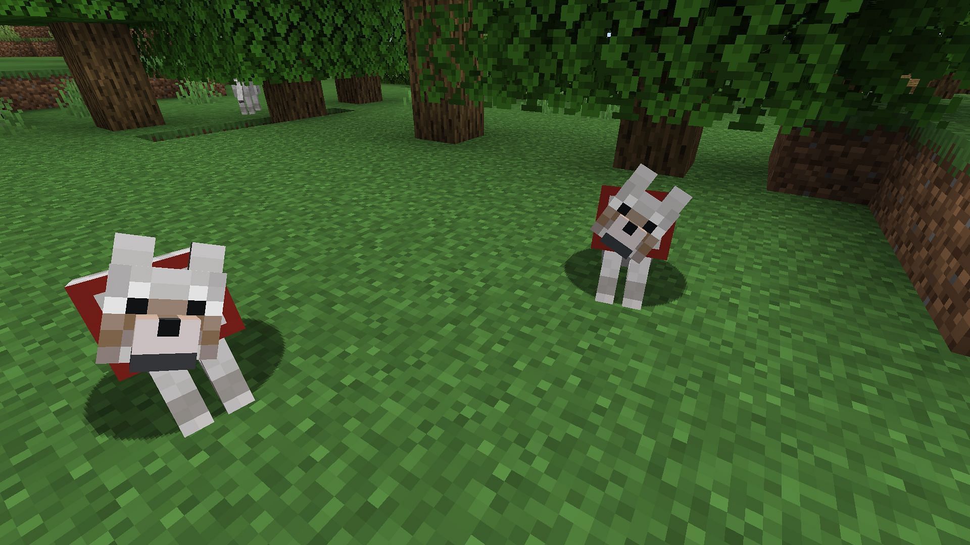 A couple of tamed wolves (Image via Minecraft)
