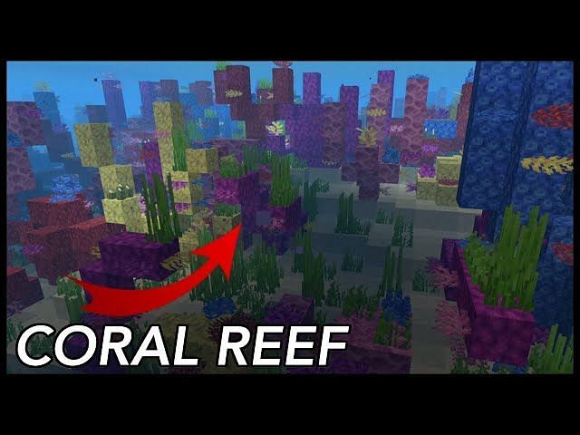 5 best seeds for coral reefs in Minecraft: Pocket Edition
