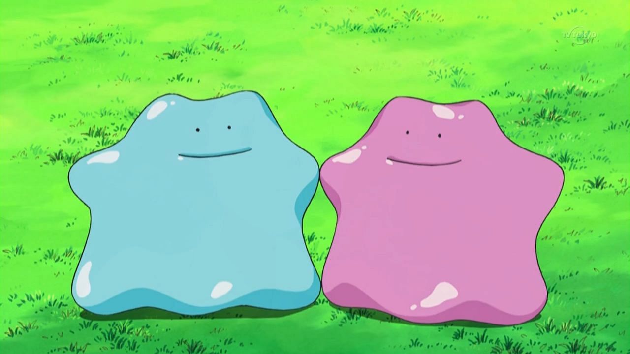 Ditto and its shiny variant as it appears in the anime (Image via The Pokemon Company)