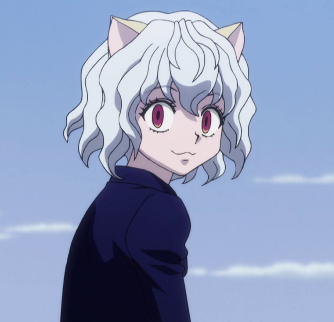 Pitou as they appear in &#039;Hunter x Hunter&#039; (Image via Madhouse)