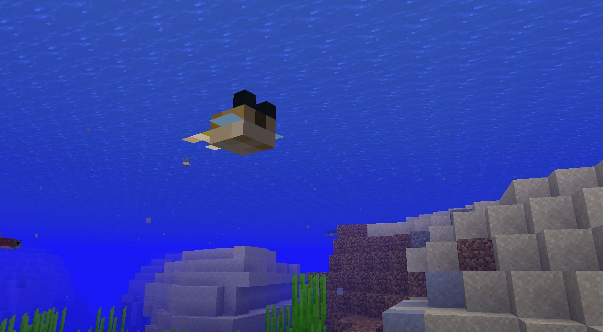 Pufferfish (Image via Minecraft)