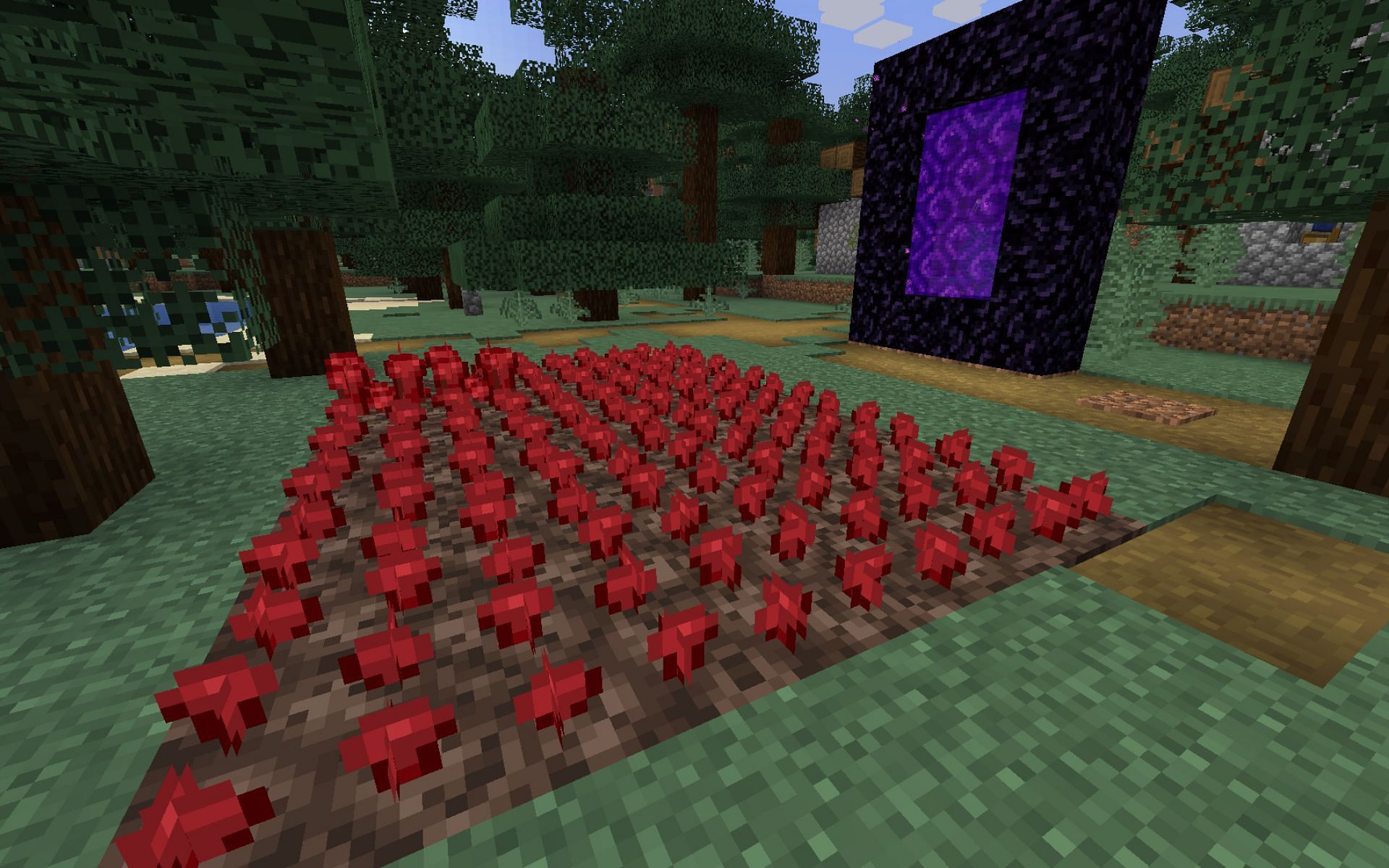 Nether wart farm in the overworld (Image via Minecraft)