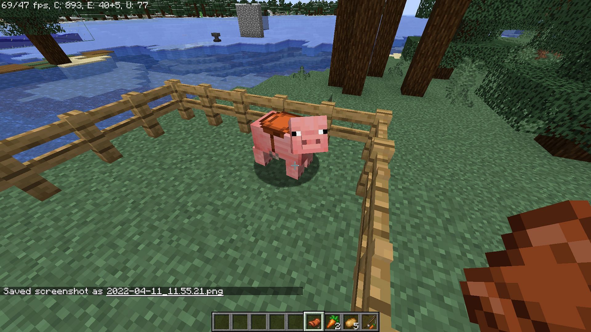 A saddle can be placed on a pig (Image via Minecraft)