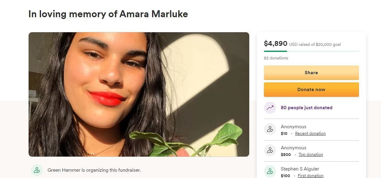 Amara Marluke&#039;s GoFundMe campaign page (Image via GoFundMe)