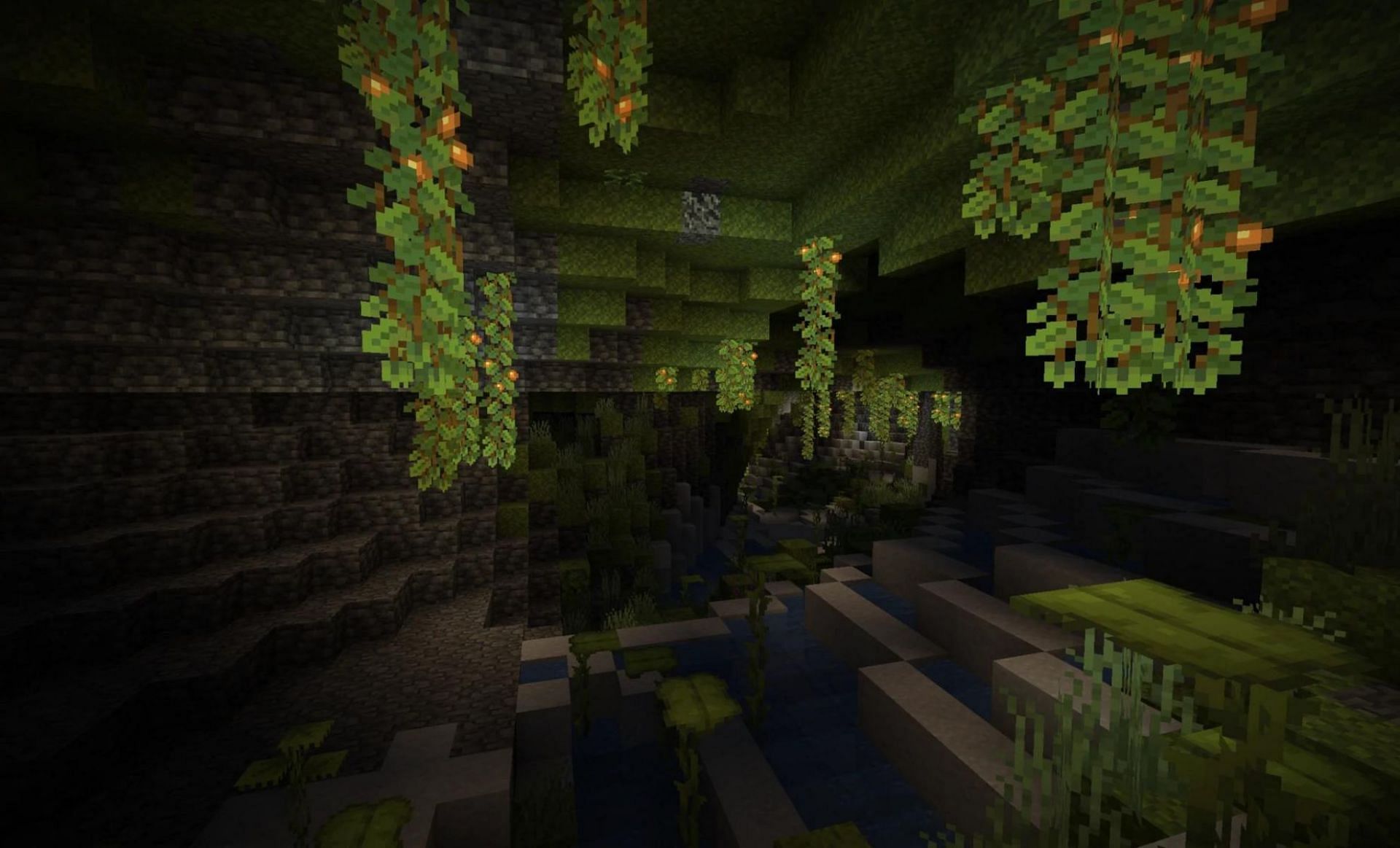 Lush Cave (Image via Minecraft Wiki)