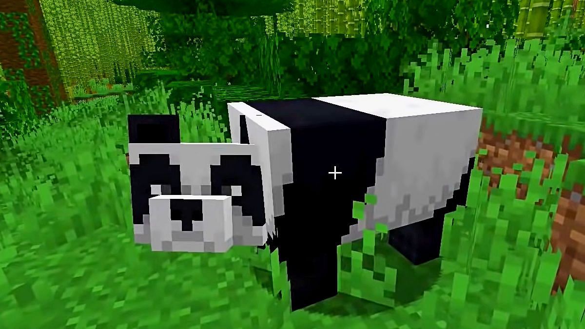Panda in-game (Image via Mojang)