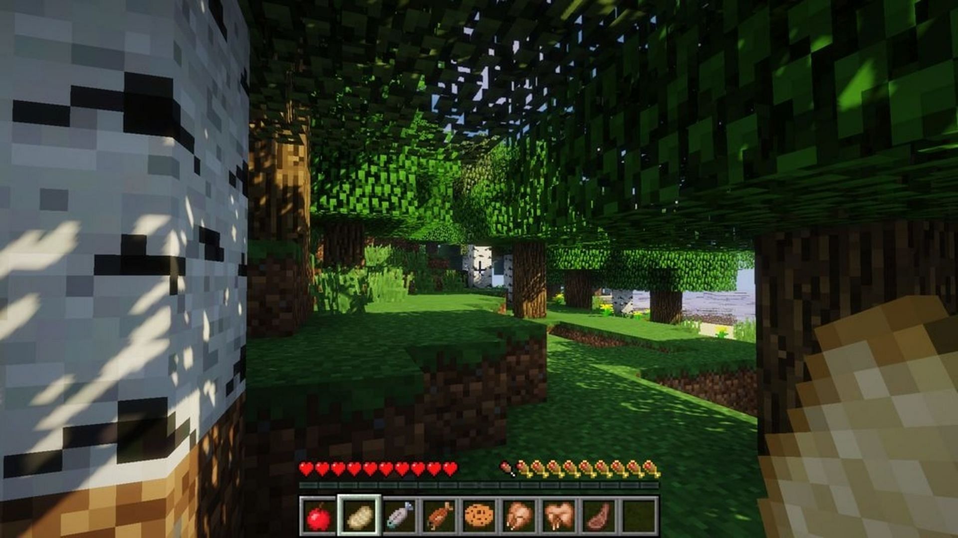 AppleSkin provides additional information on food (Image via Squeek502/MineThatCraft)