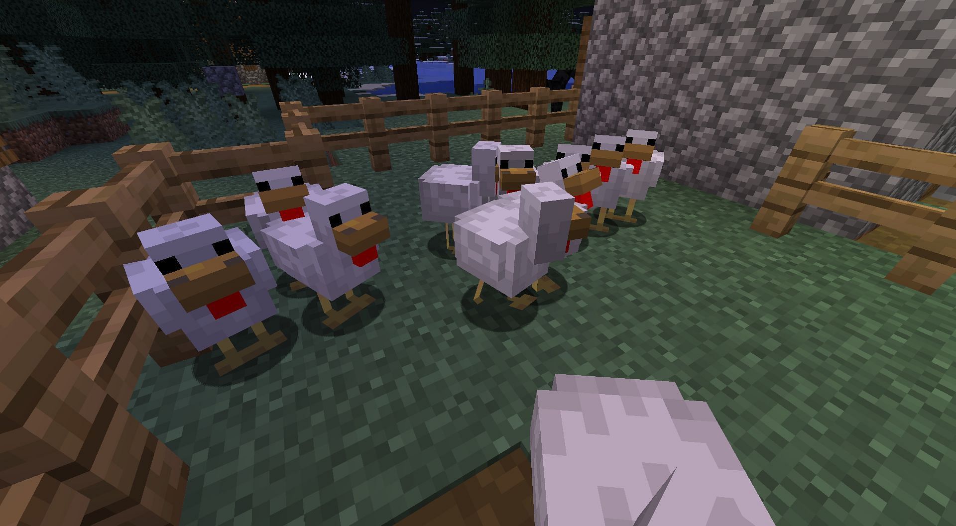 Chickens drop eggs randomly (Image via Minecraft)