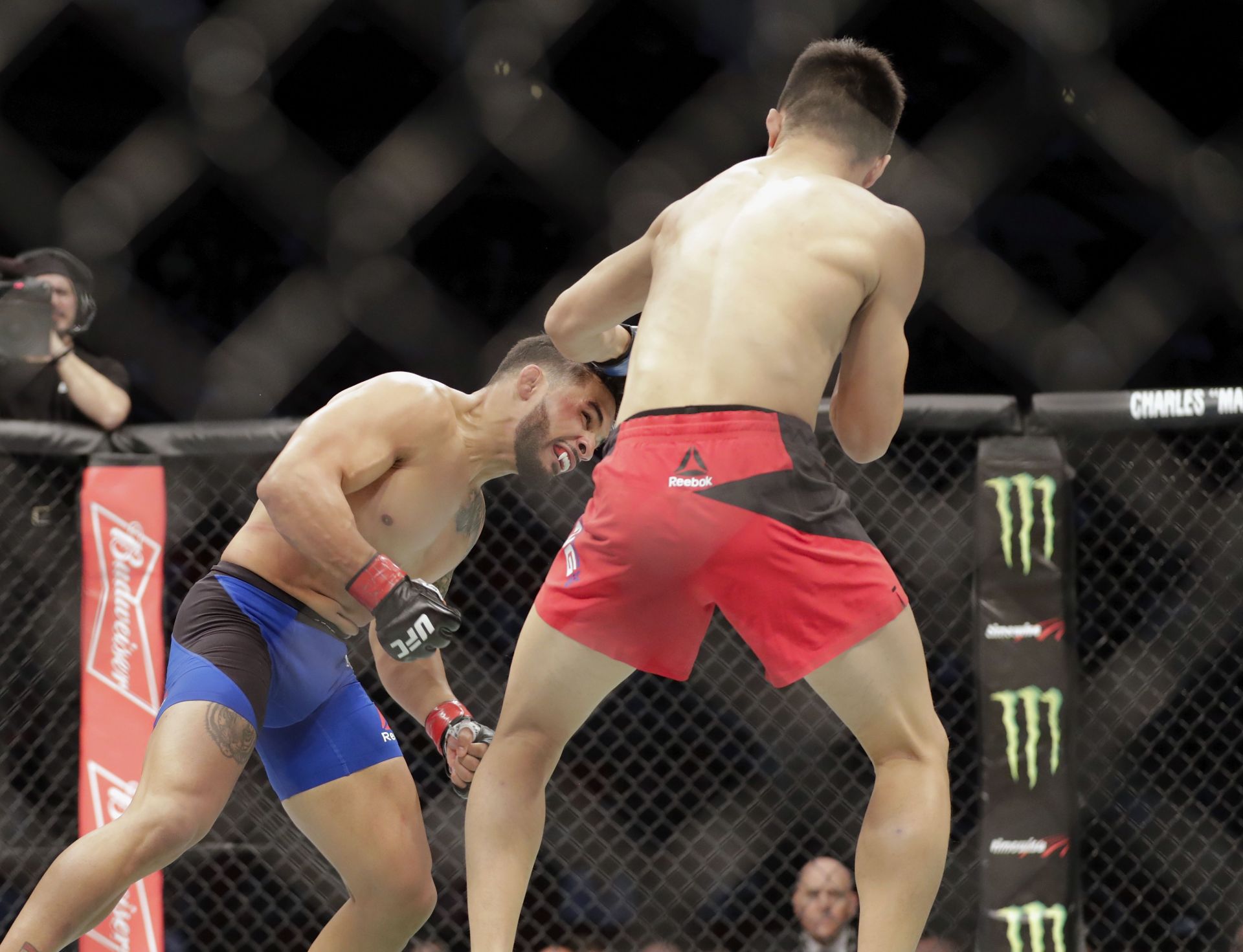 UFC Fight Night: Bermudez vs Korean Zombie