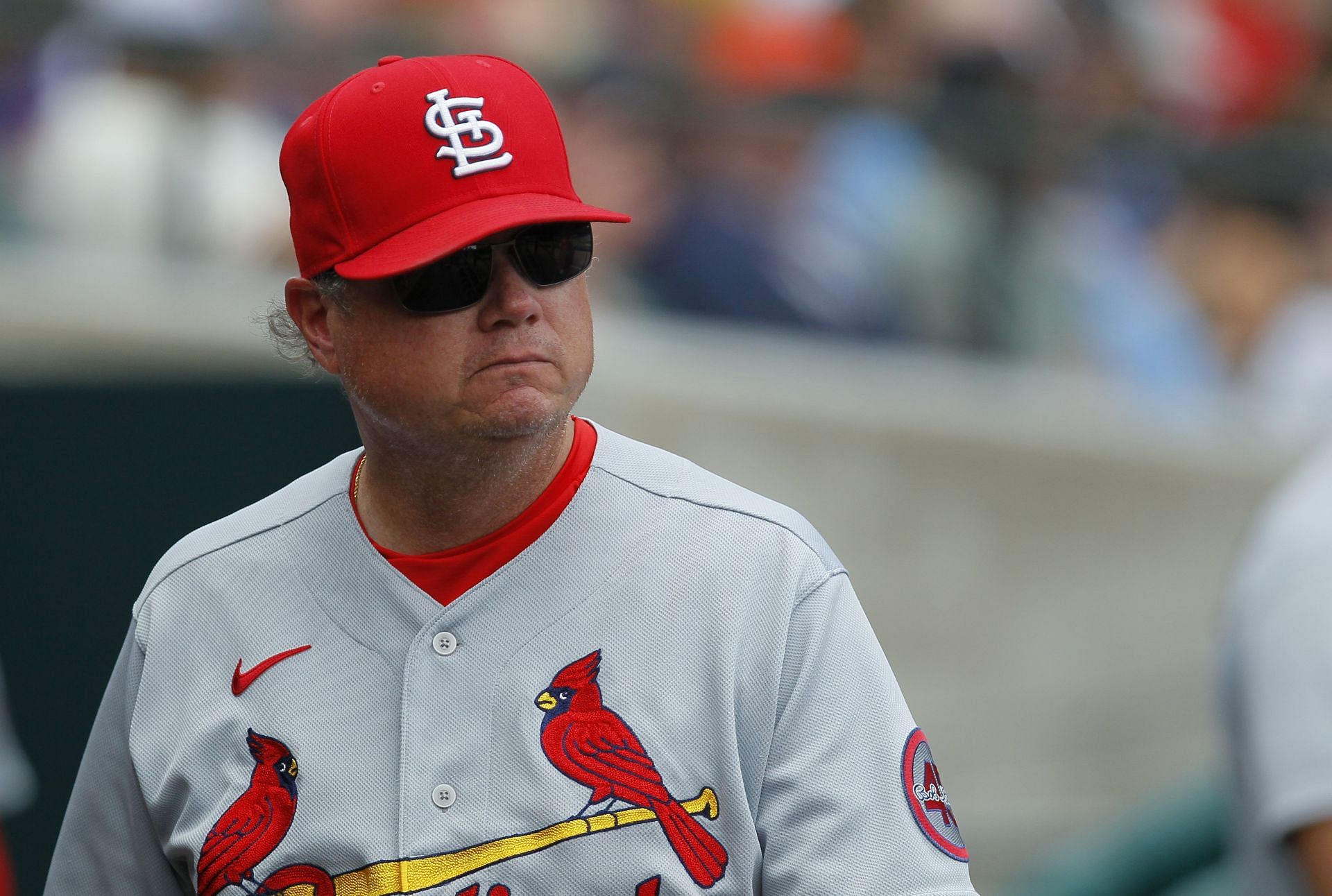 Former St Louis Cardinals manager Mike Shildt