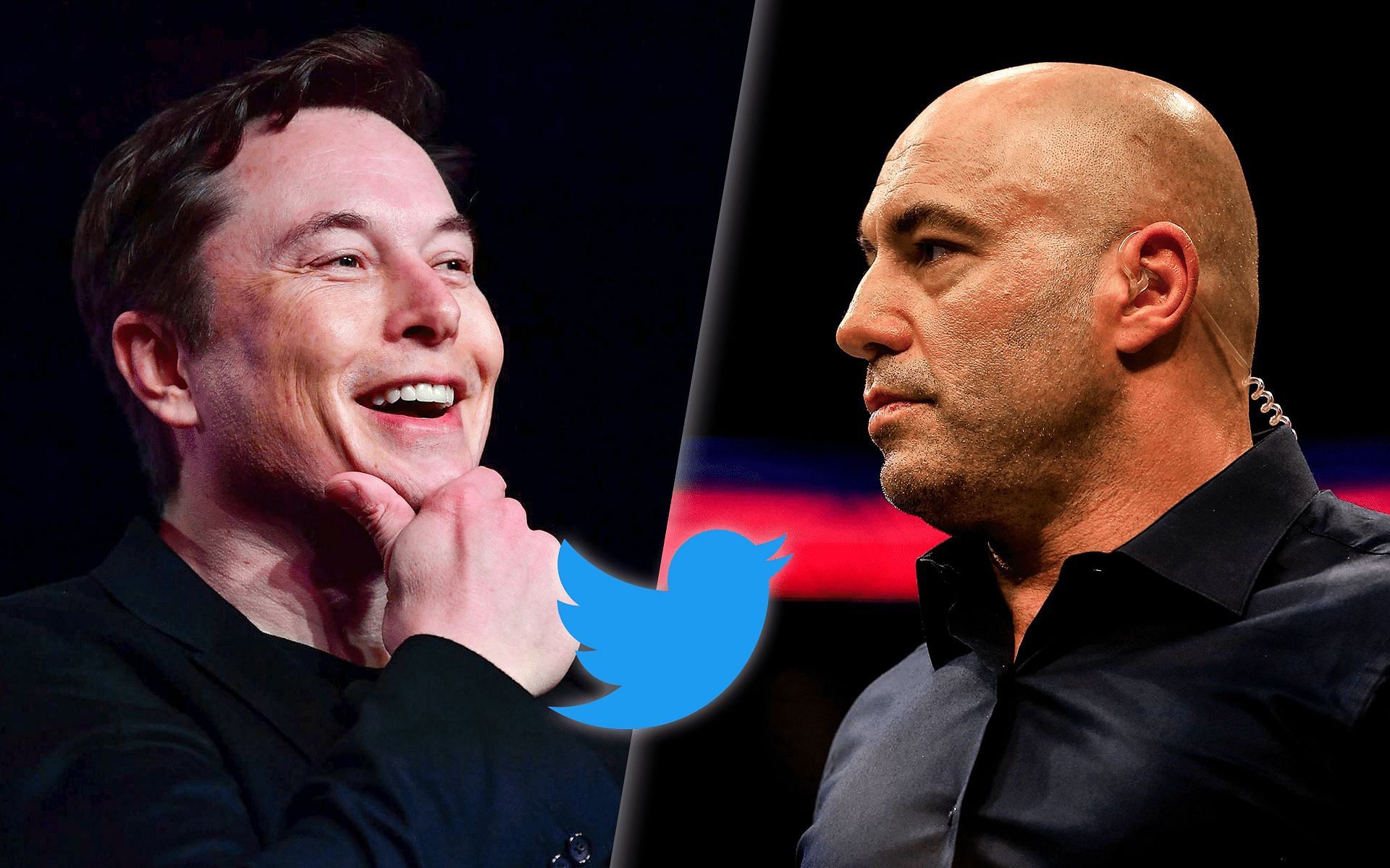 Joe Rogan (right) comments on Elon Musk&#039;s (left) attempt to take over Twitter [Musk image via Vox.com, Twitter logo via Twitter.com]
