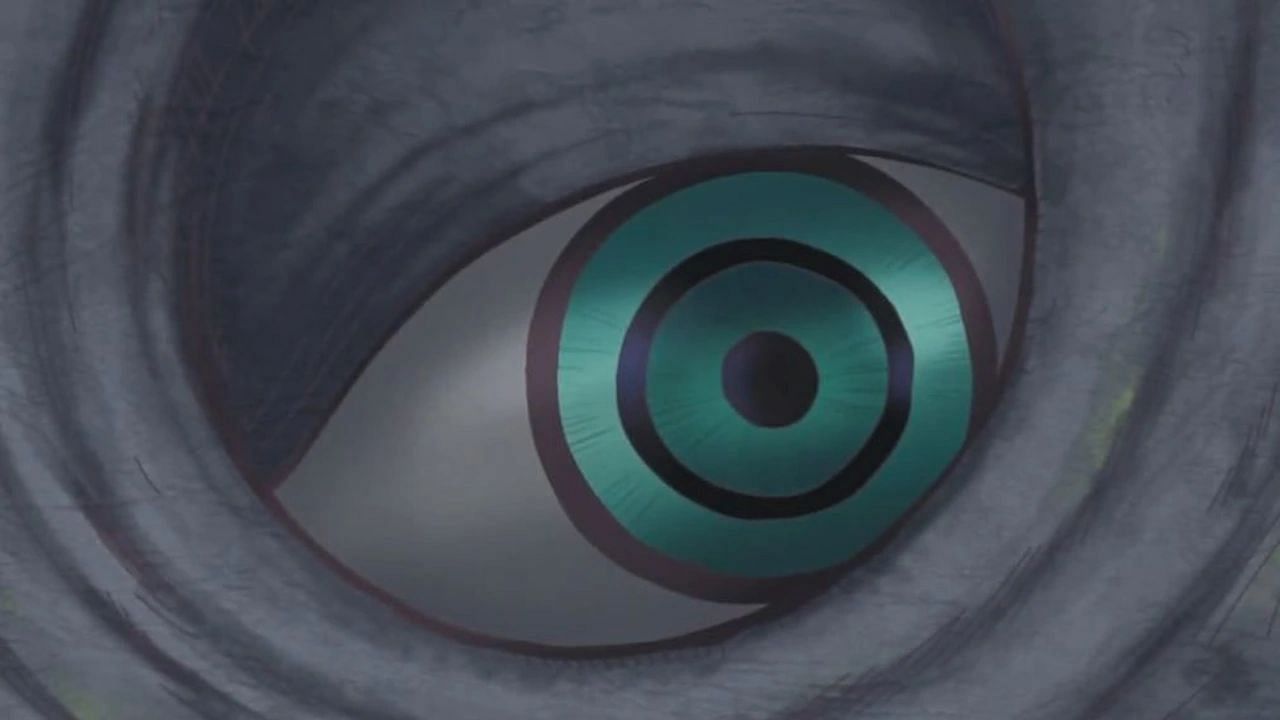 The Void Century Eyes as seen in the One Piece anime (Image via Toei Animation)