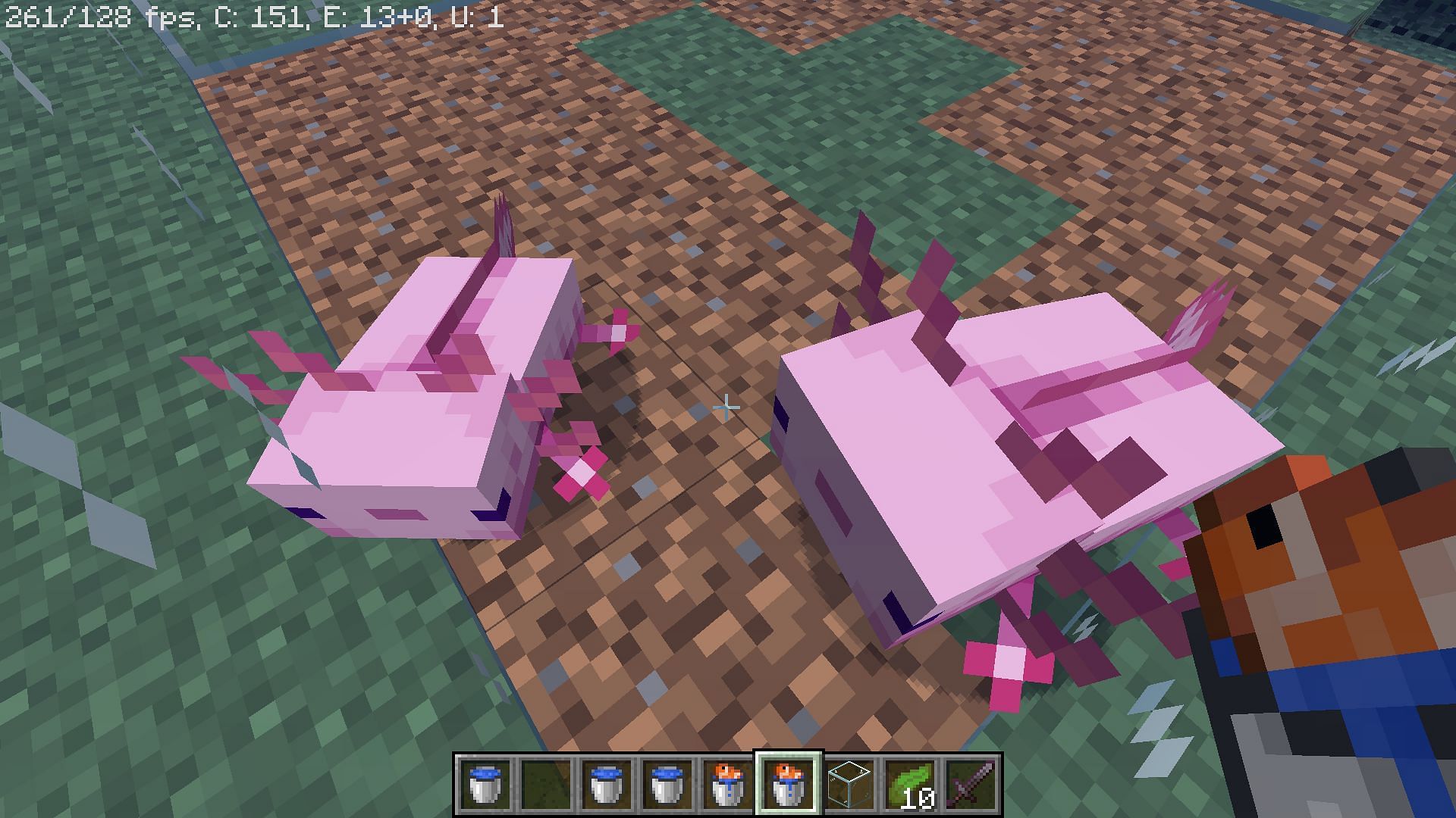 Bucket of tropical fish attracts Axolotls (Image via Minecraft)