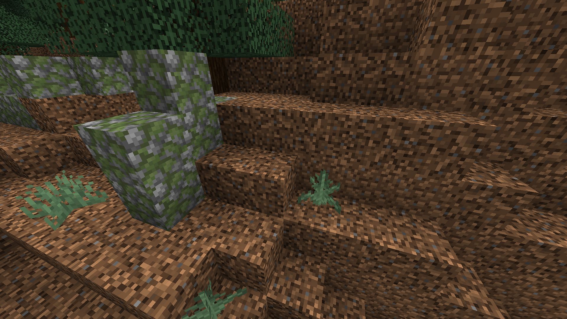 All types of dirt blocks in Minecraft