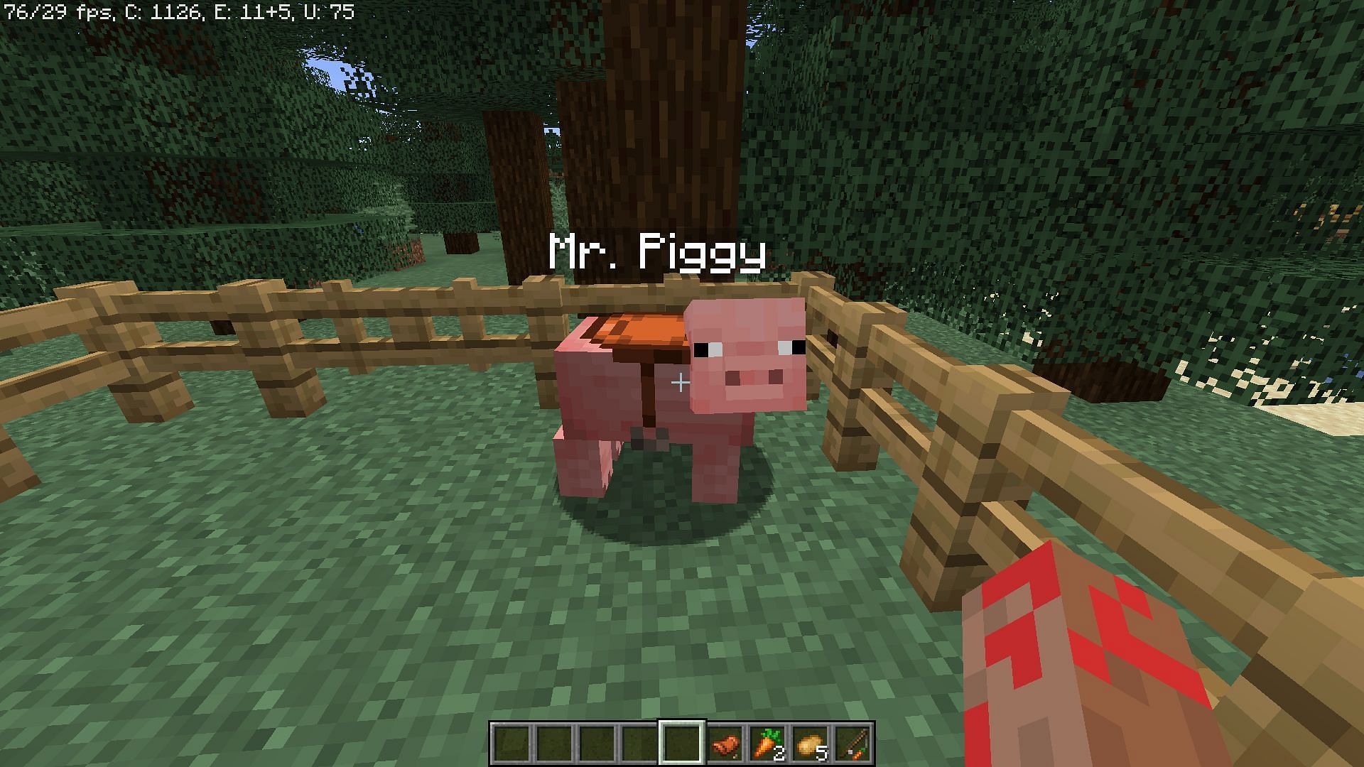 They can be named and ridden with carrot on a stick (Image via Minecraft)