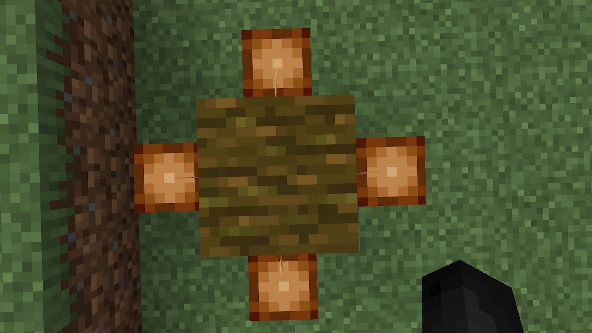 Players can plant numerous cocoa beans on the same jungle log, saving space and materials (Image via Minecraft)