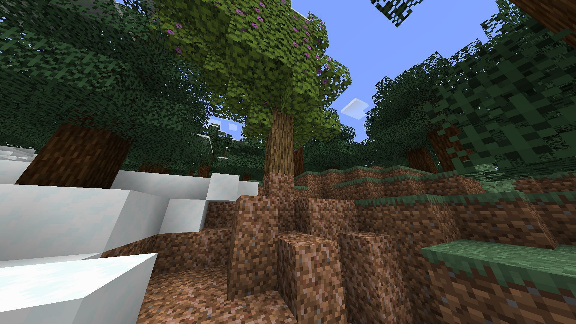 Rooted dirt near Azalea tree (Image via Minecraft)