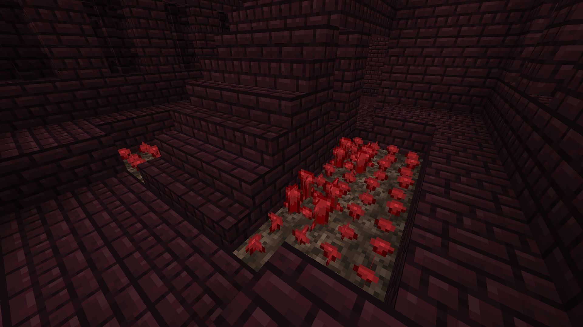 Nether warts growing in a fortress (Image via Minecraft)