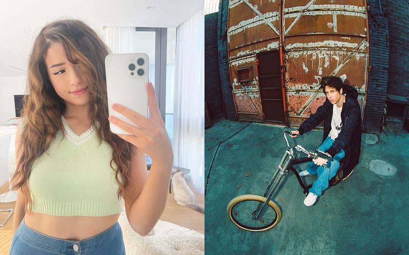 POKI LOOKS EXACTLY LIKE LOFI GIRL, this is so cool : r/offlineTV