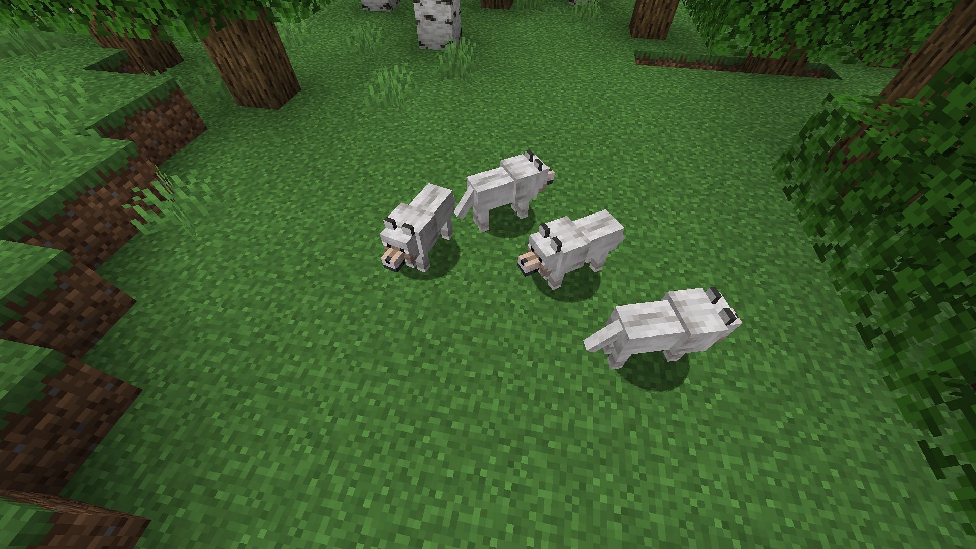 A pack of wild wolves (Image via Minecraft)