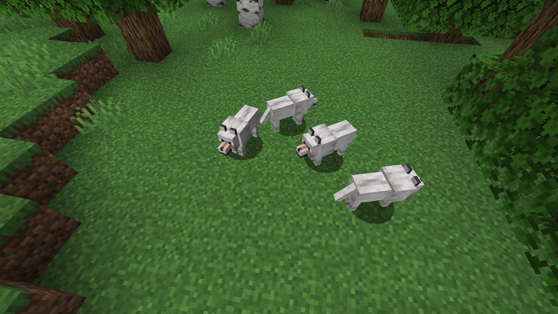 how-to-make-tamed-wolf-in-minecraft-minecraft-max