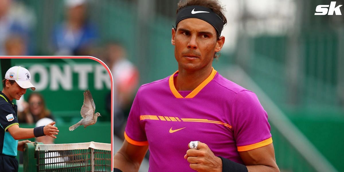 Rafael Nadal&#039;s second-round match at the 2017 Monte-Carlo Masters was interrupted by a bird