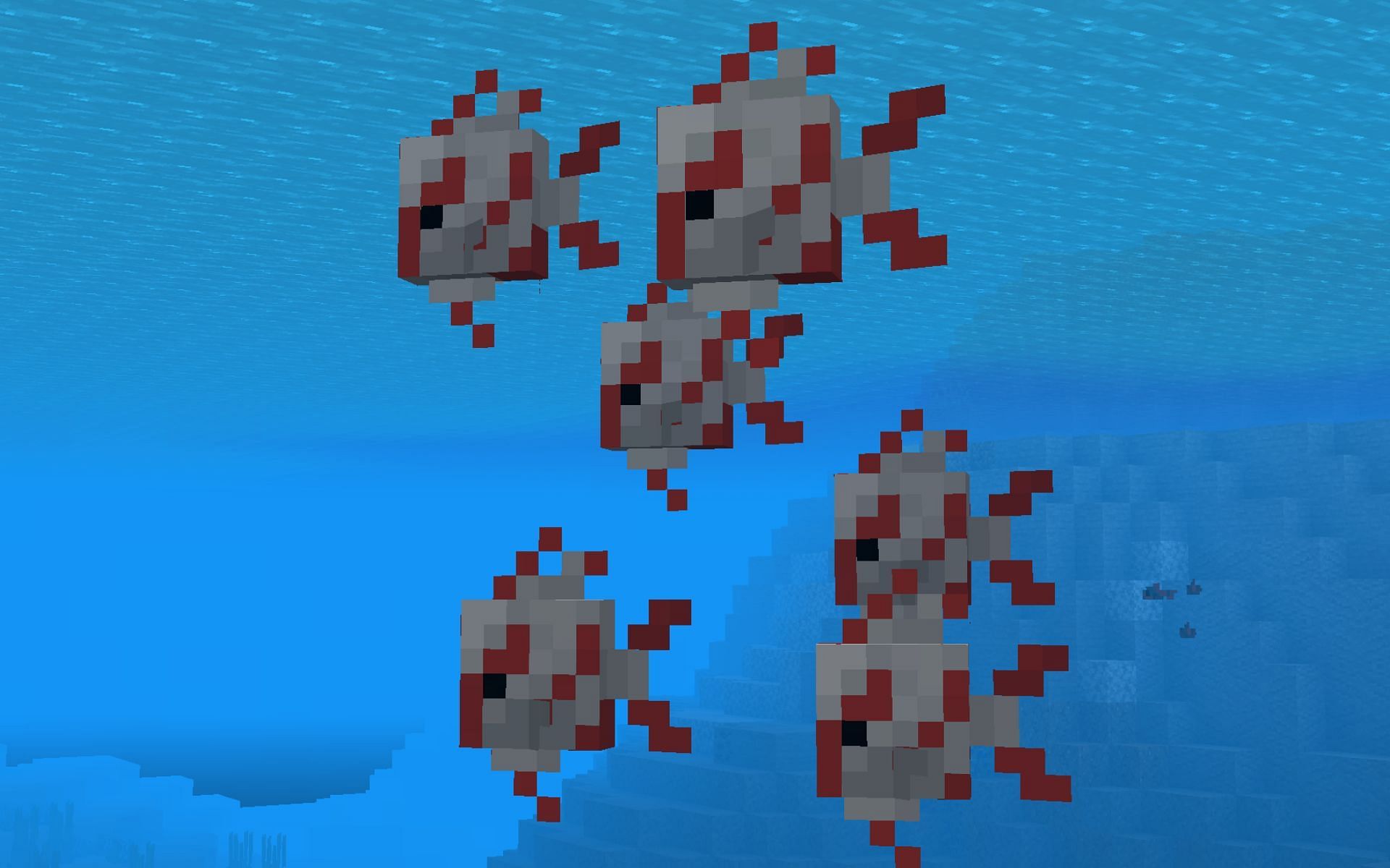 A school of tropical fish (Image via Minecraft)