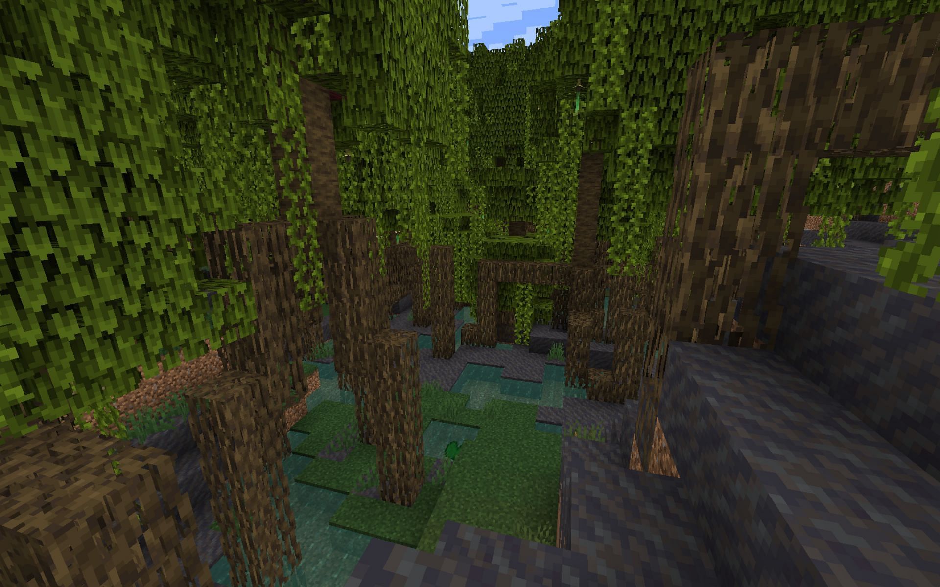 Mangrove Swamp (Image via Minecraft)