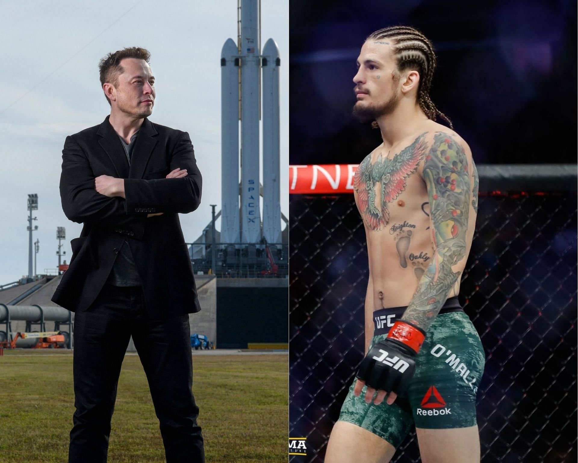 Elon Musk (Left), Sean O&#039;Malley (Right) Sources: The New York Times, mmafighting.com