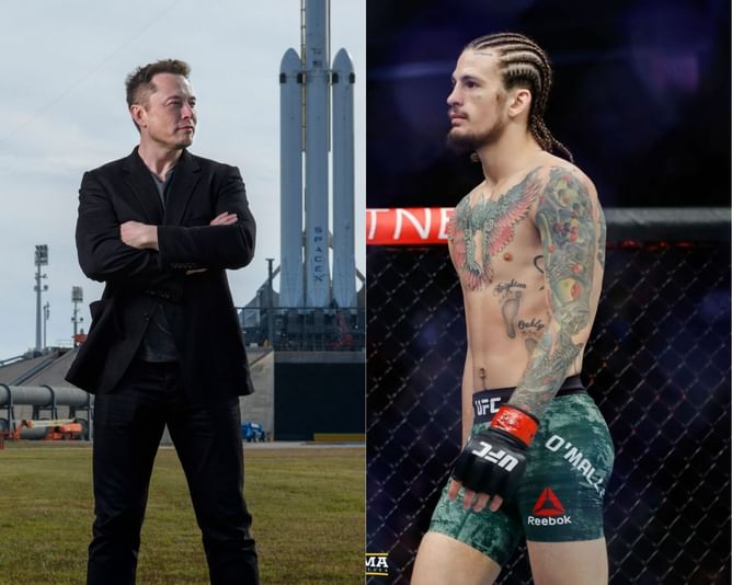 "That guy might be a robot"- Sean O'Malley gives his take on Elon Musk trying to buy Twitter