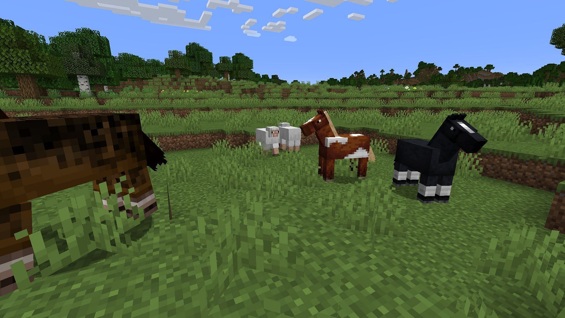 A group of horses (Image via Minecraft)