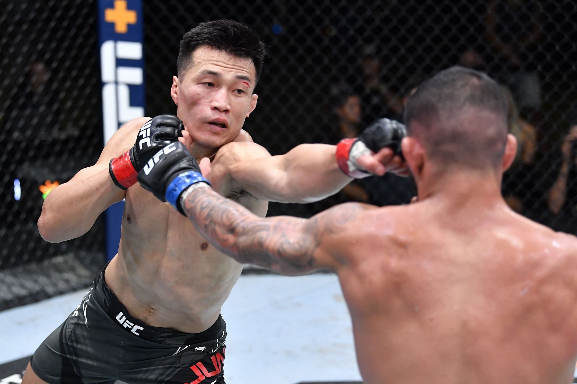 Chan Sung Jung never fails to deliver the goods inside the octagon