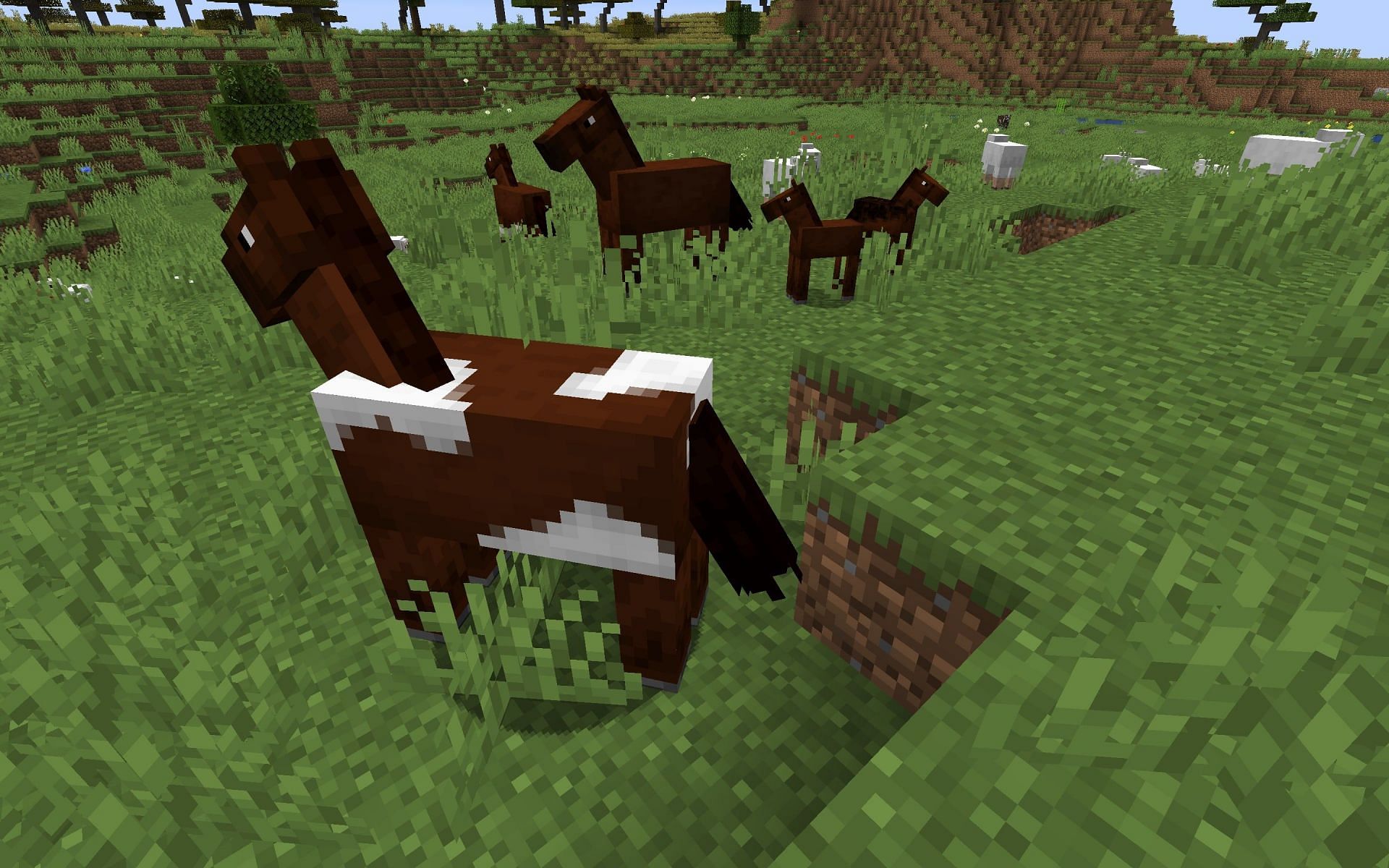 A field filled with horses. (Image via Minecraft)