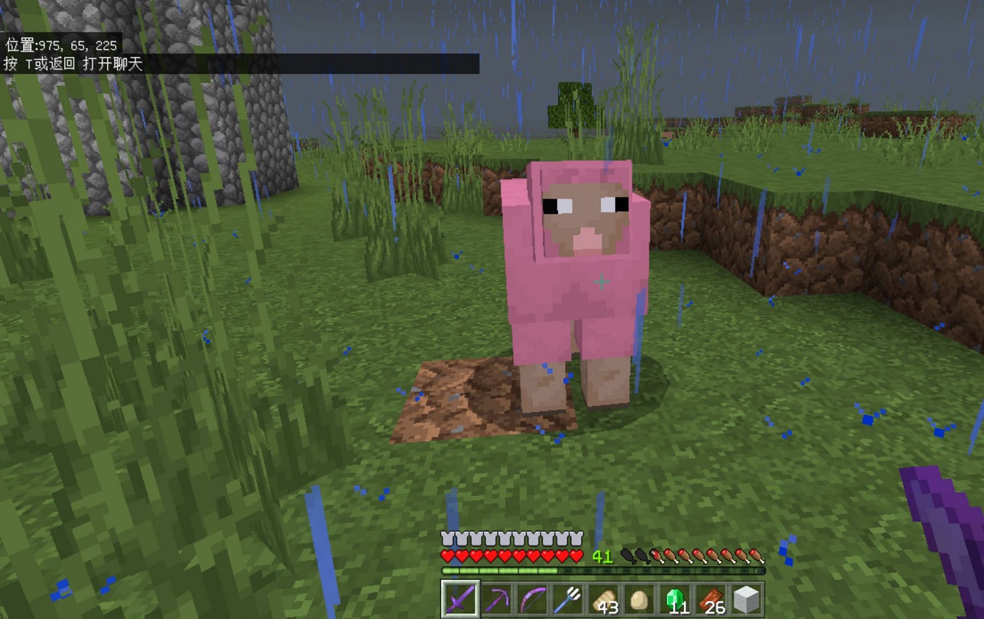Pink sheep are incredibly rare compared to other wool colors (Image via Mojang)