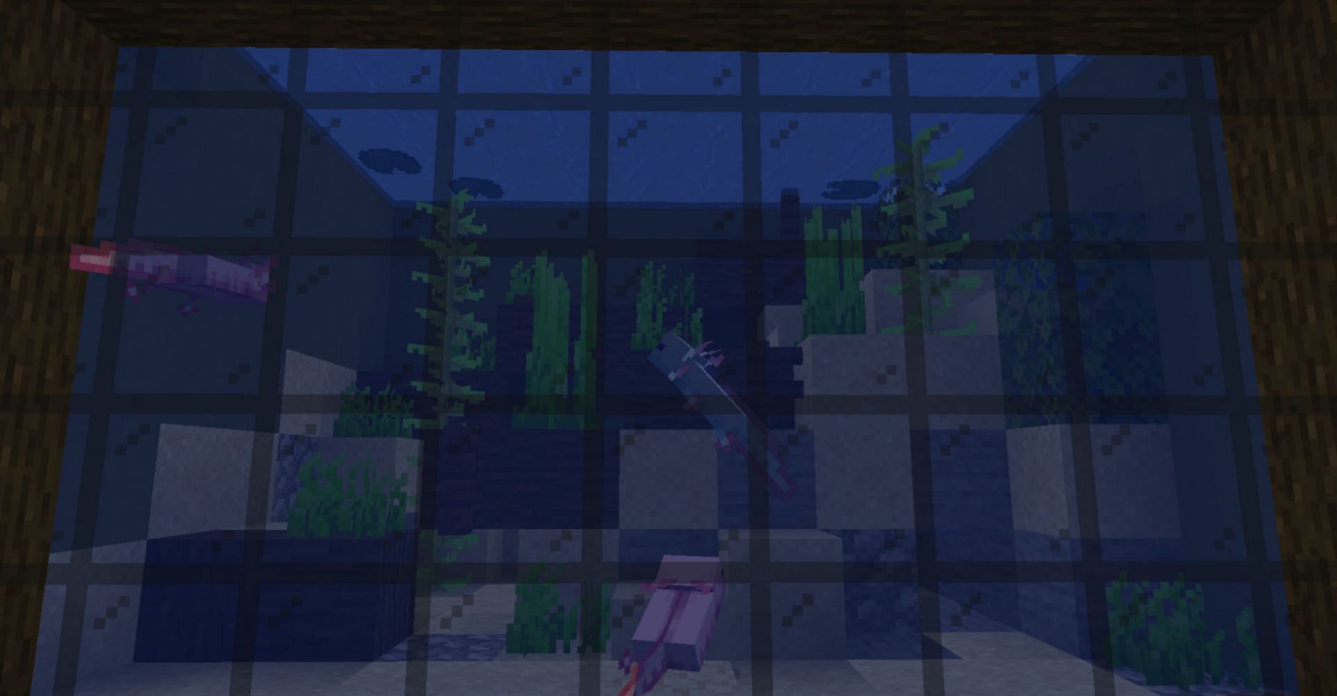 A tinted glass window for an axolotl aquarium (Image via Mojang)